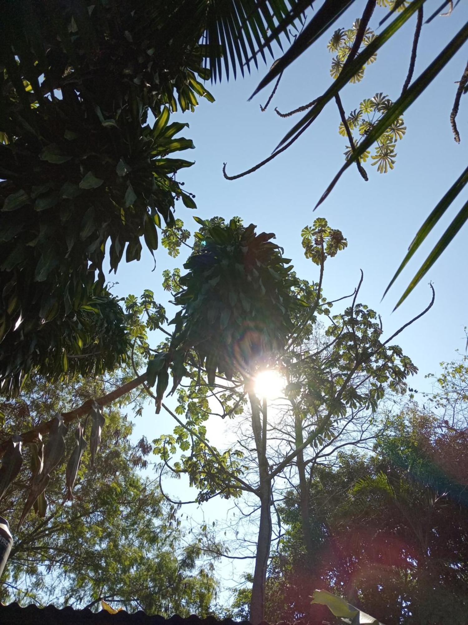 Posada Maria Iguazu ปูแอร์โตอีกวาซู ภายนอก รูปภาพ