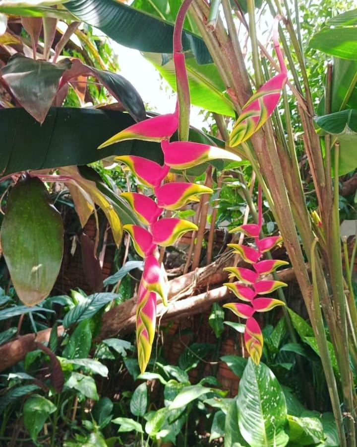 Posada Maria Iguazu ปูแอร์โตอีกวาซู ภายนอก รูปภาพ