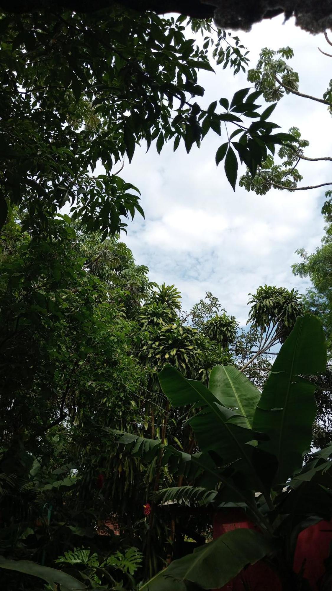 Posada Maria Iguazu ปูแอร์โตอีกวาซู ภายนอก รูปภาพ
