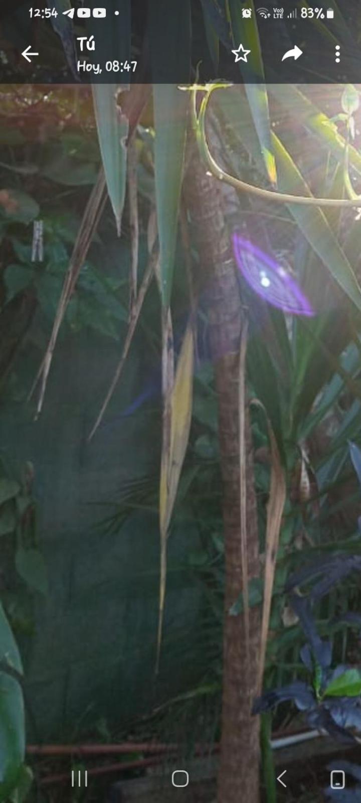 Posada Maria Iguazu ปูแอร์โตอีกวาซู ภายนอก รูปภาพ