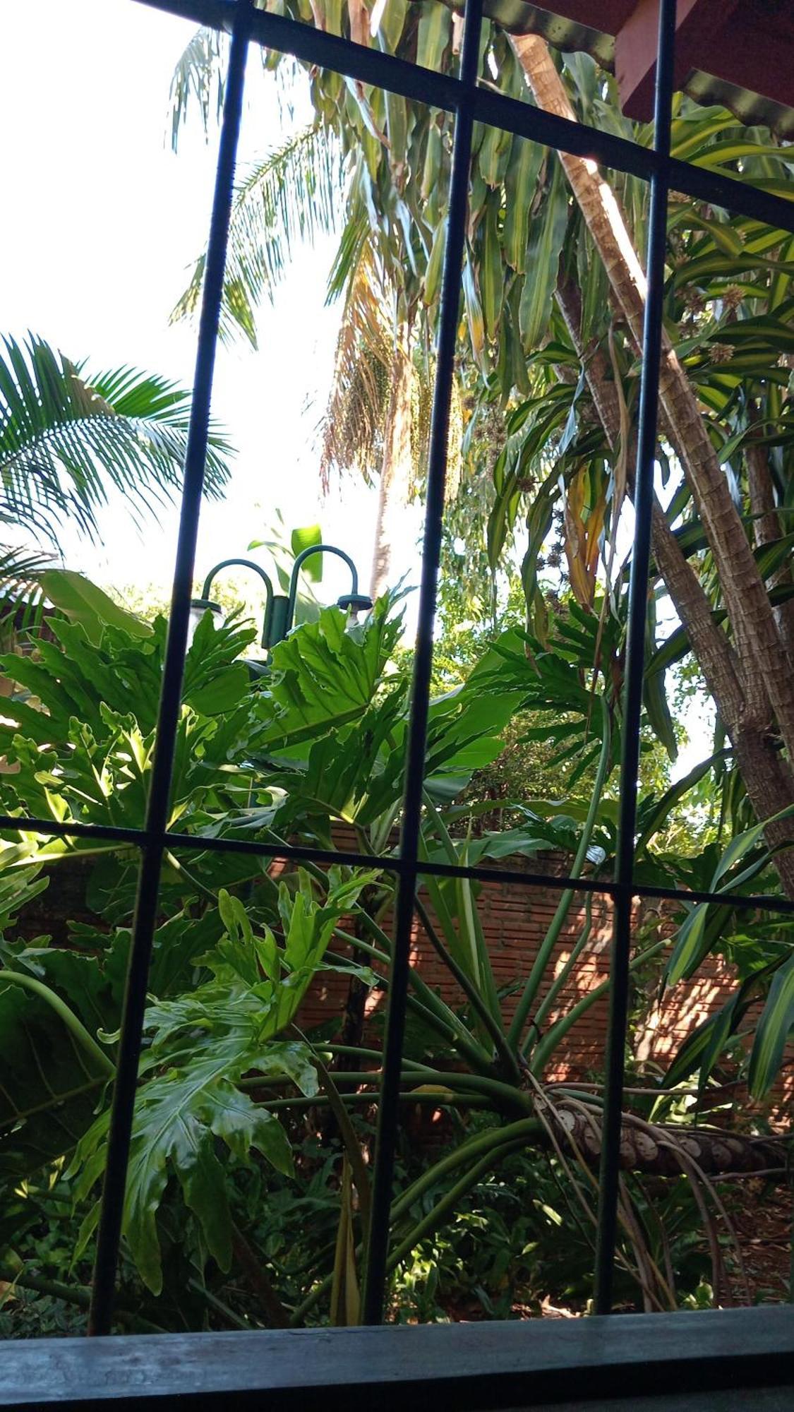 Posada Maria Iguazu ปูแอร์โตอีกวาซู ภายนอก รูปภาพ