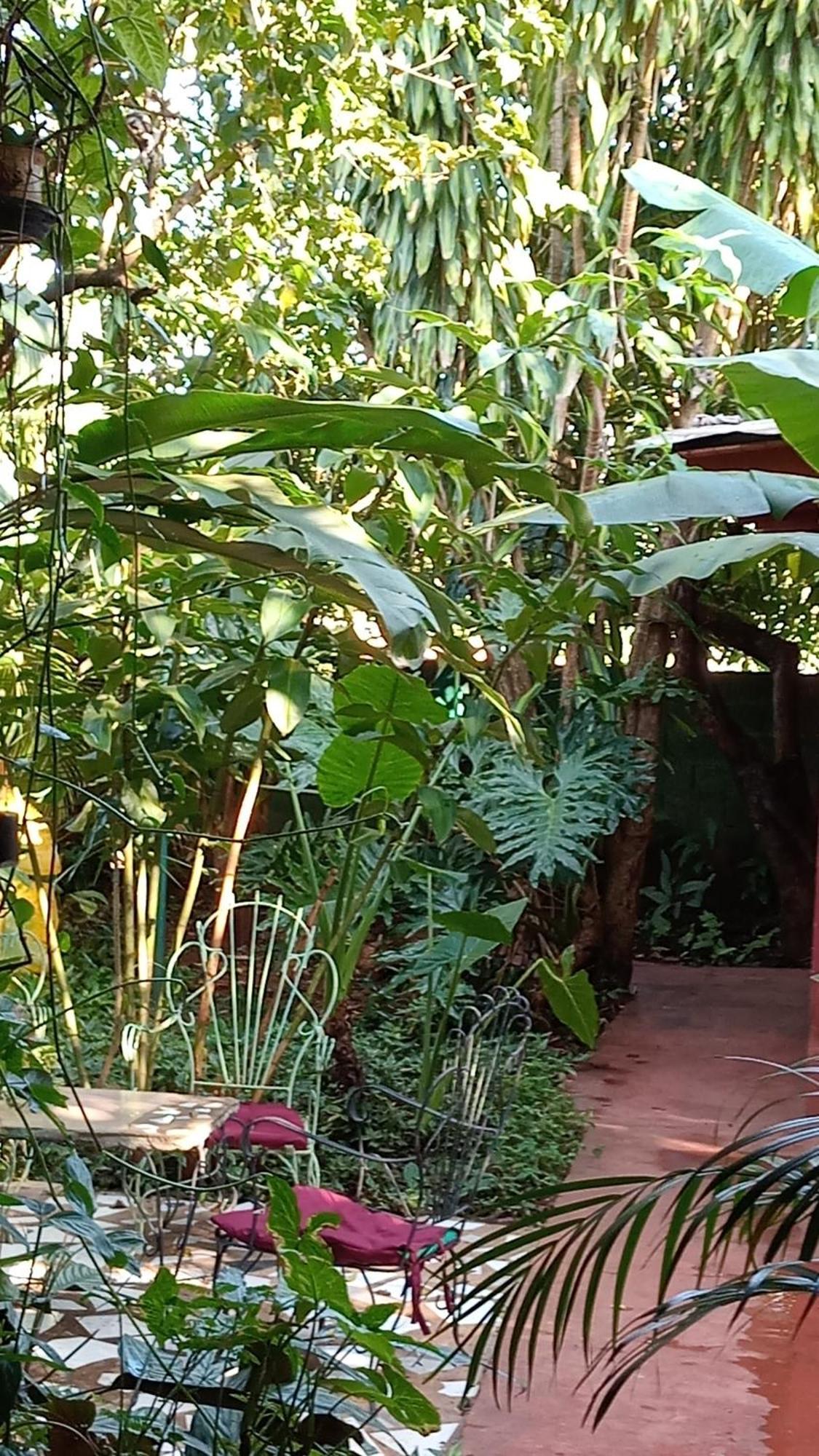 Posada Maria Iguazu ปูแอร์โตอีกวาซู ภายนอก รูปภาพ