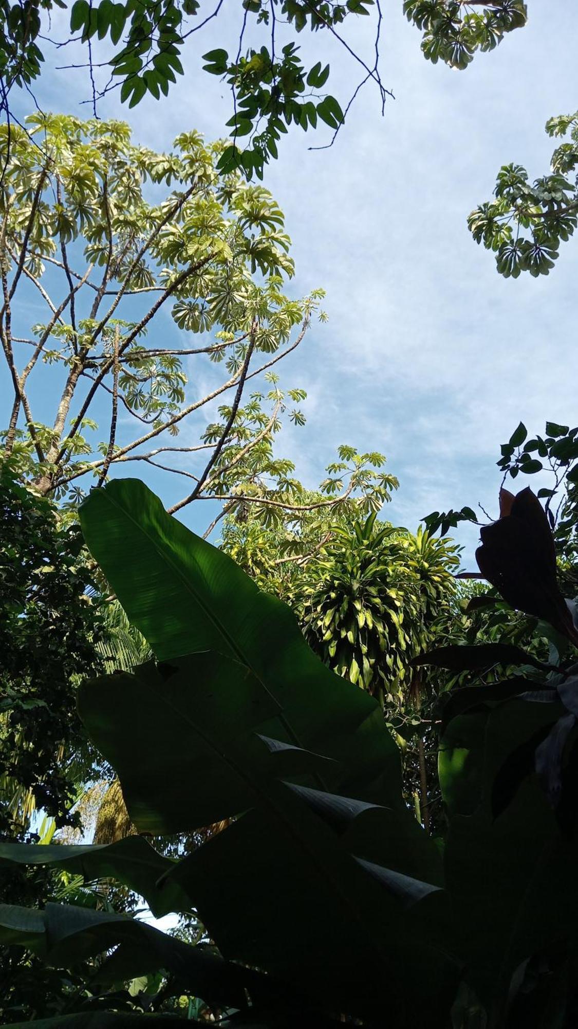 Posada Maria Iguazu ปูแอร์โตอีกวาซู ภายนอก รูปภาพ