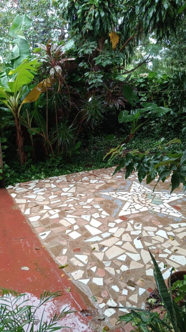 Posada Maria Iguazu ปูแอร์โตอีกวาซู ภายนอก รูปภาพ