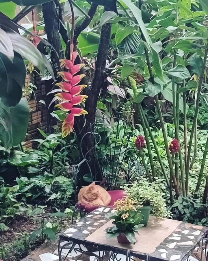 Posada Maria Iguazu ปูแอร์โตอีกวาซู ภายนอก รูปภาพ