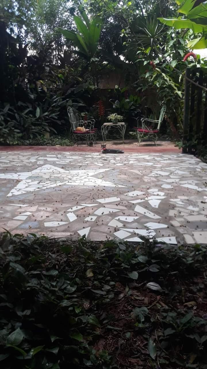 Posada Maria Iguazu ปูแอร์โตอีกวาซู ภายนอก รูปภาพ