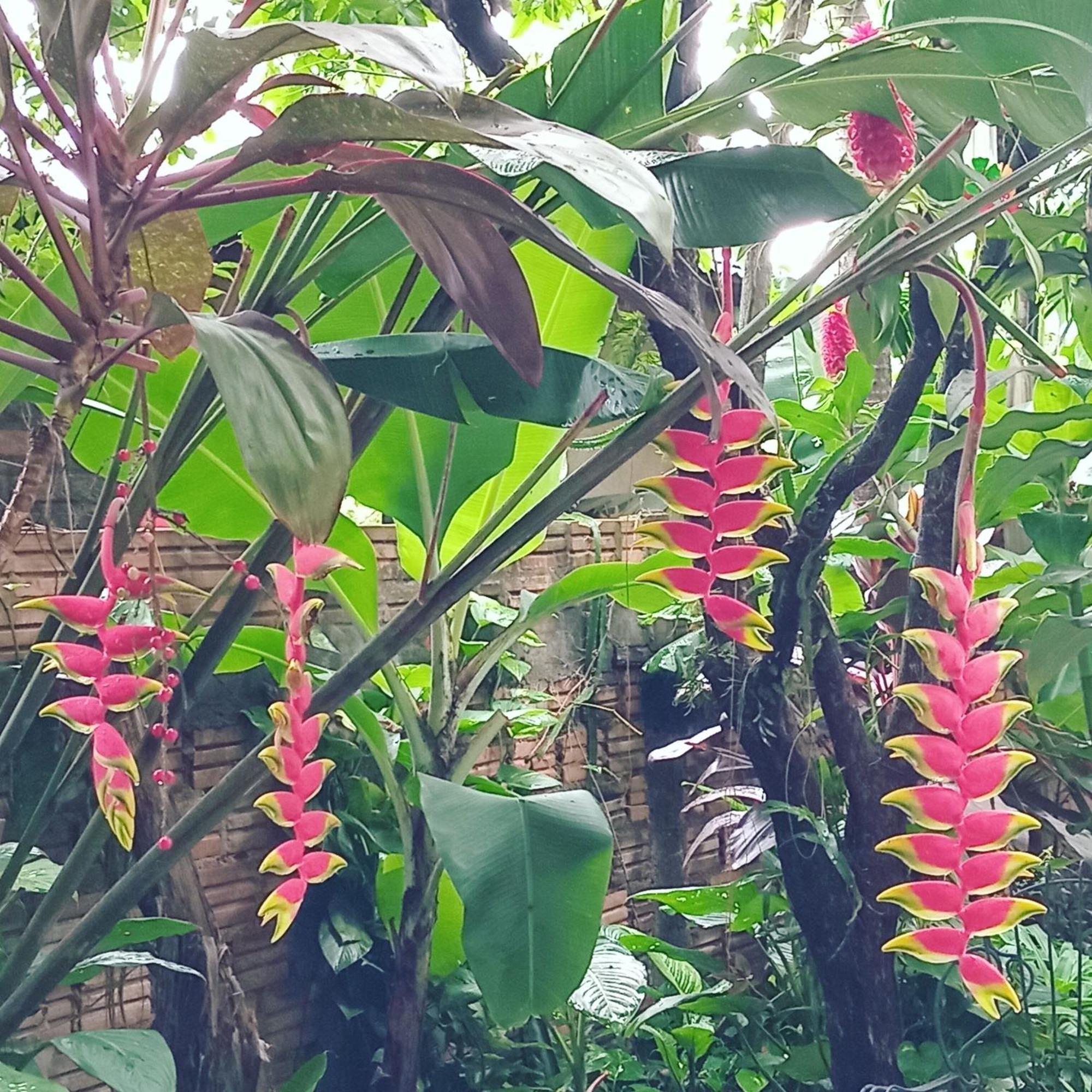 Posada Maria Iguazu ปูแอร์โตอีกวาซู ภายนอก รูปภาพ