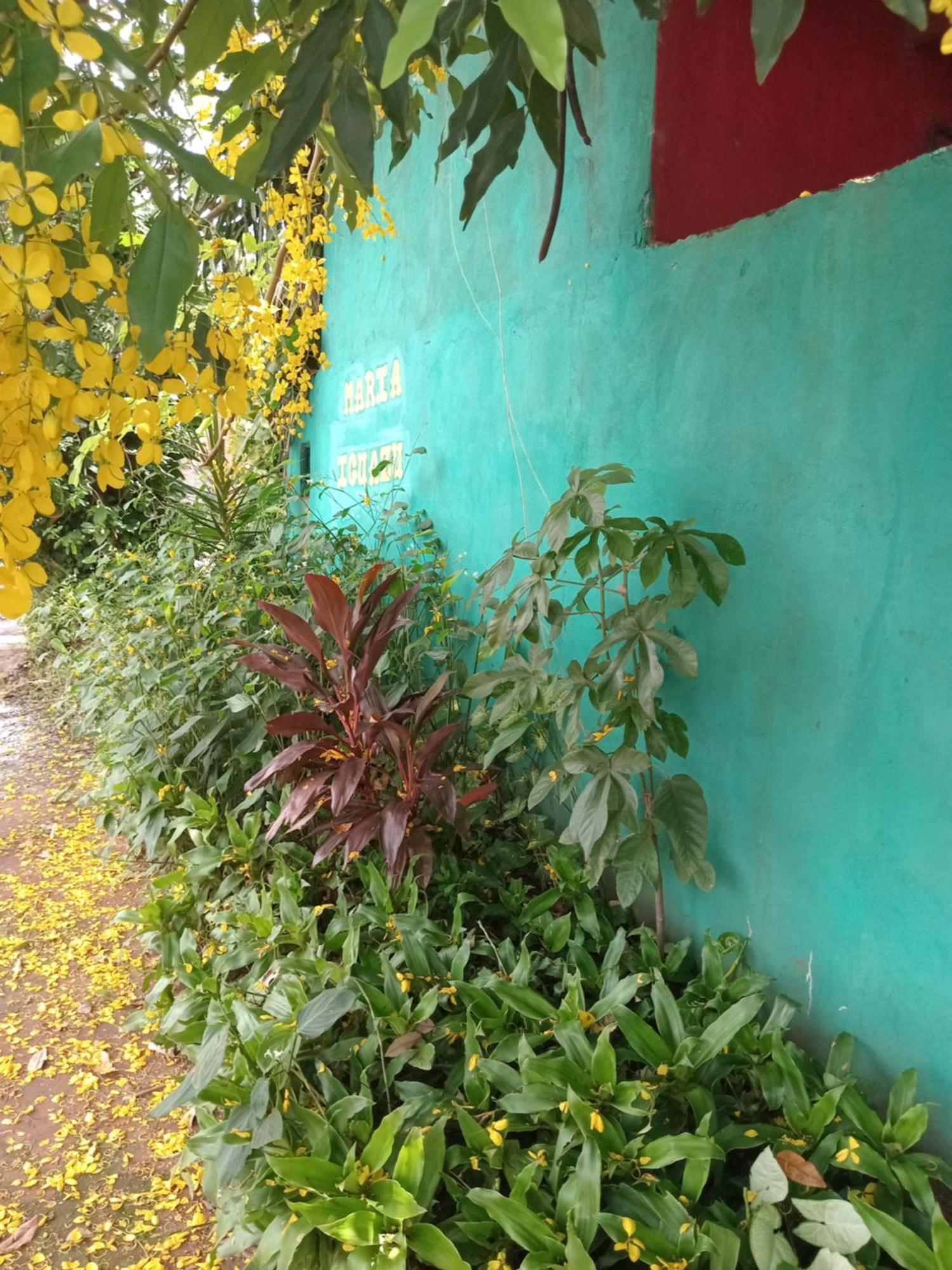 Posada Maria Iguazu ปูแอร์โตอีกวาซู ภายนอก รูปภาพ