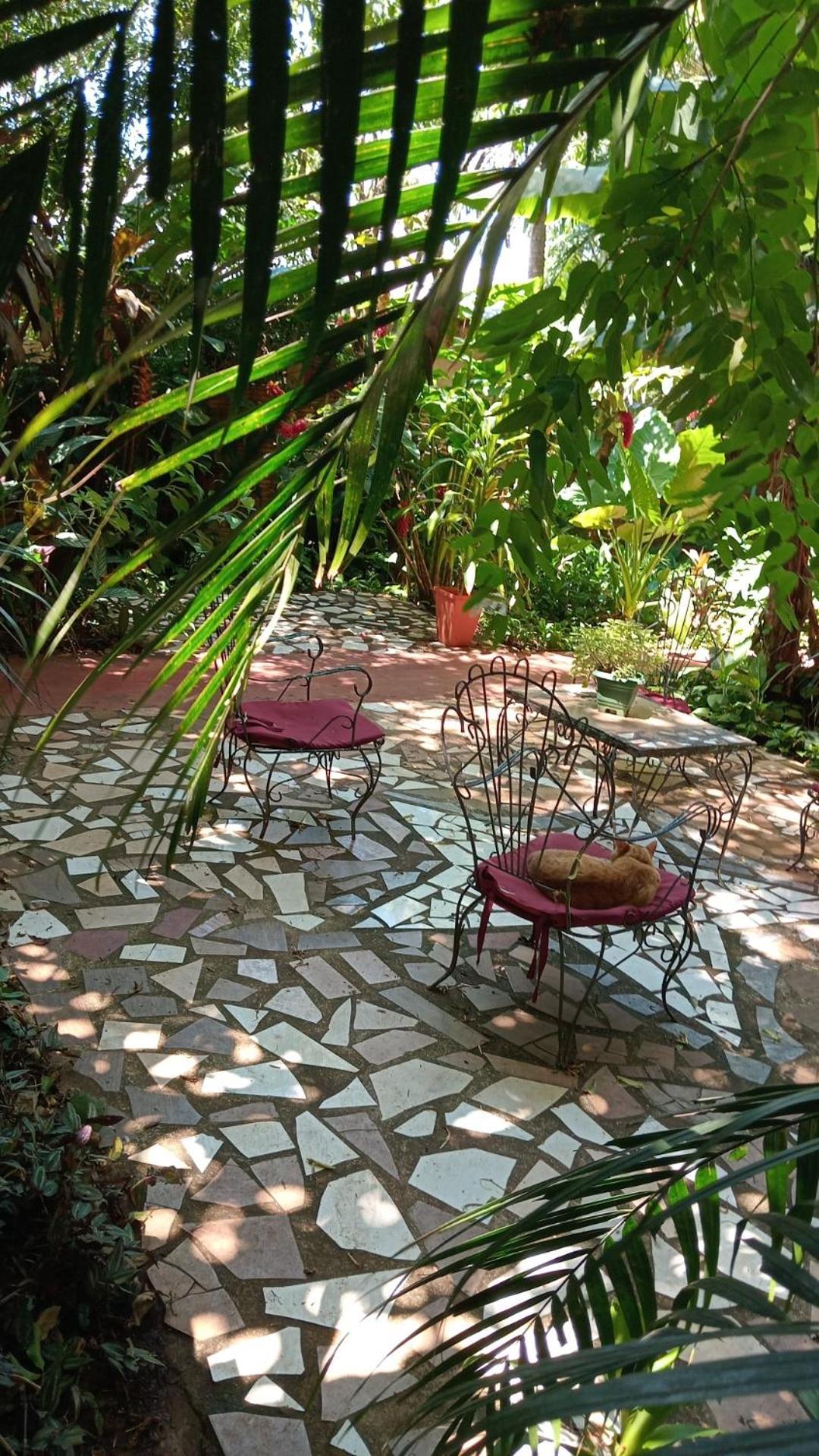 Posada Maria Iguazu ปูแอร์โตอีกวาซู ภายนอก รูปภาพ